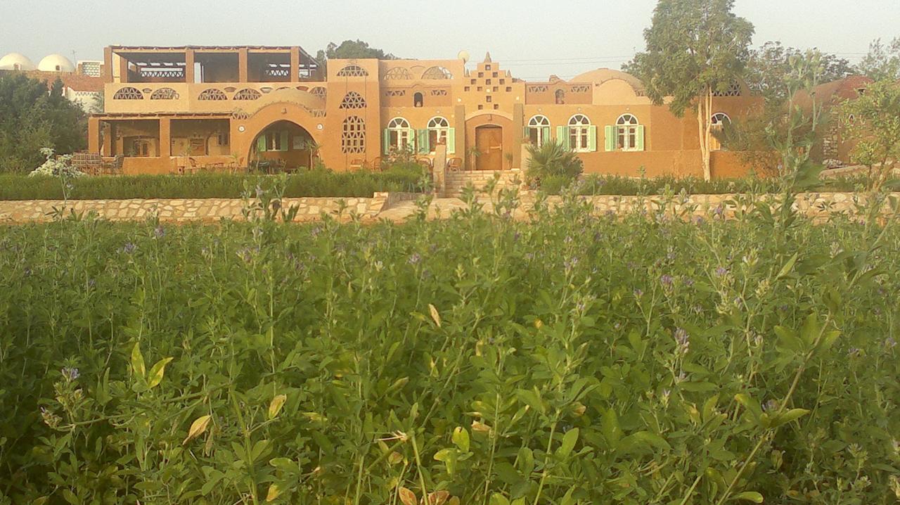 Eskaleh Eco-Lodge Abu Szimbel Kültér fotó